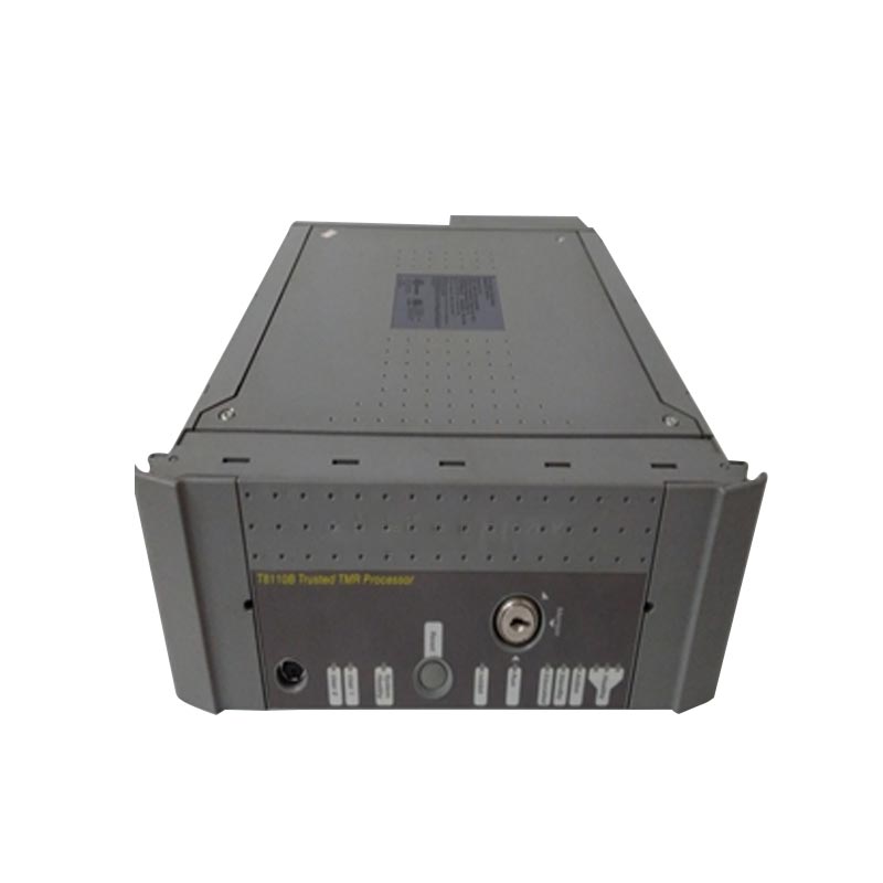 ICS Triplex の基本原則は何ですか?